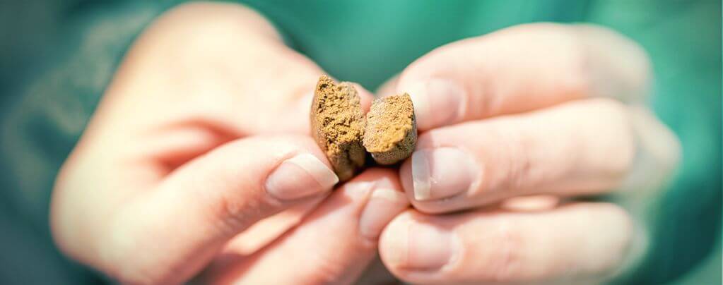Hash CBD