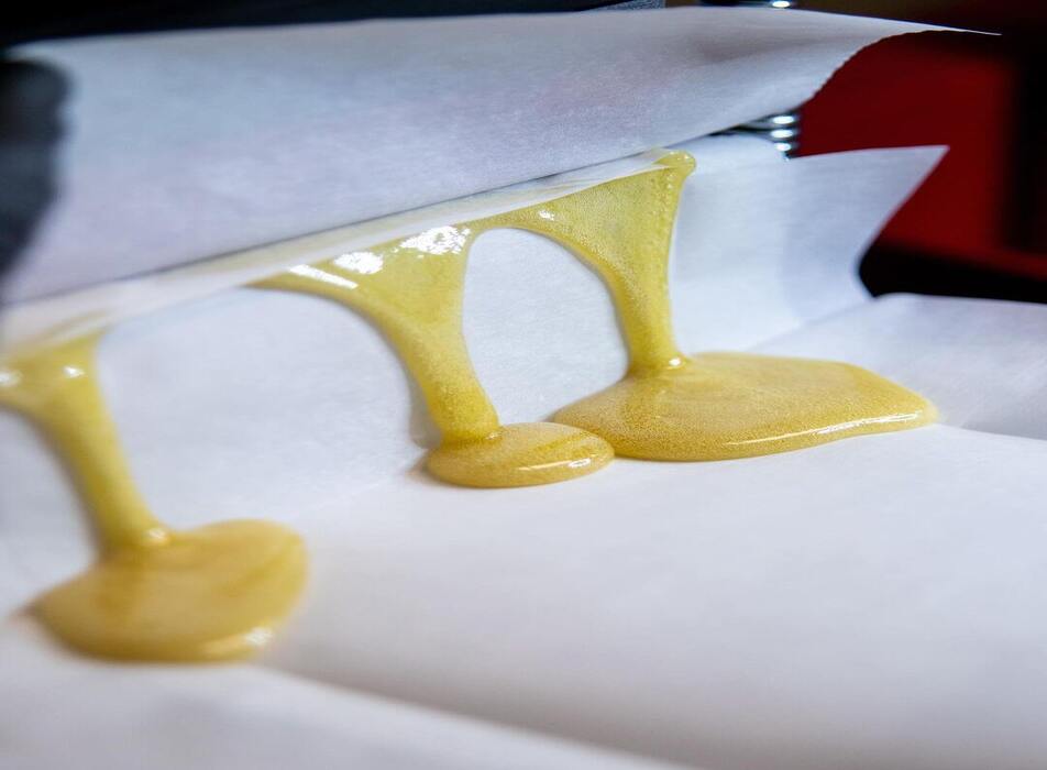 Hash rosin