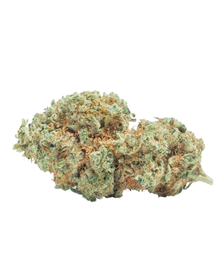 Flor Mango CBD alto porcentaje en cannabidiol