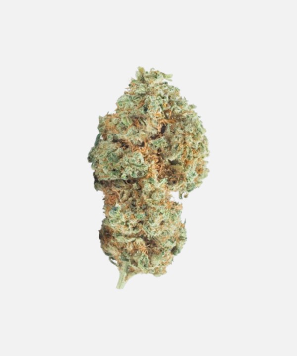 flor-orange-cbd
